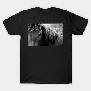 Wild Horse Up Close T-Shirt